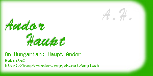 andor haupt business card